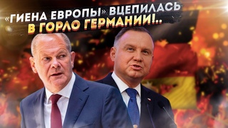 Вот оно нерушимое партнерство Запада: Германия не ожидала такого удара в спину!