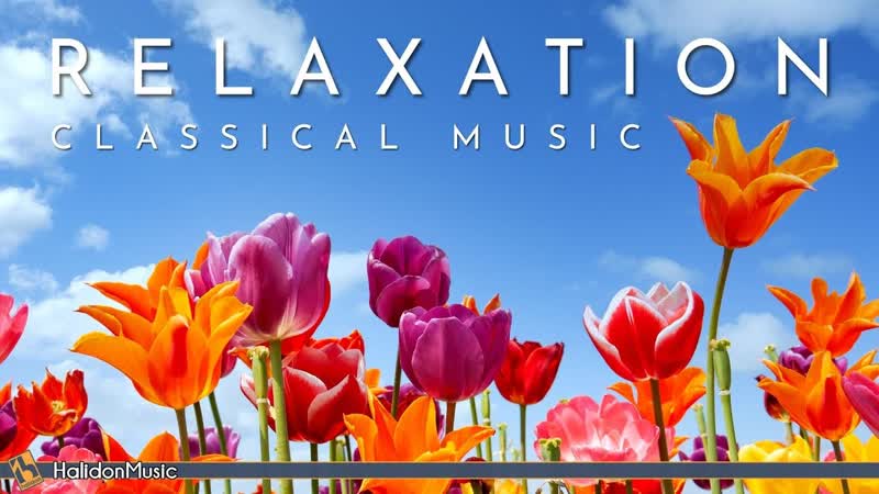 Classical Music for Relaxation: Chopin,