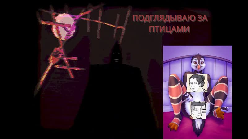 ПОДГЛЯДЫВАЮ ЗА ПТИЦАМИ
