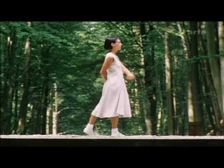 Steve Reich — Violin Phase