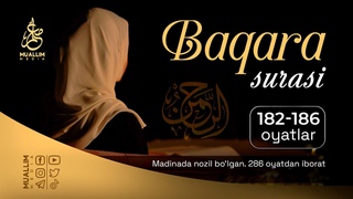 Baqara surasi 182-186-oyatlar | SARA QIROATLAR | Quran tilawat