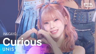 UNIS () - Curious ( ) @ inkigayo 20240825