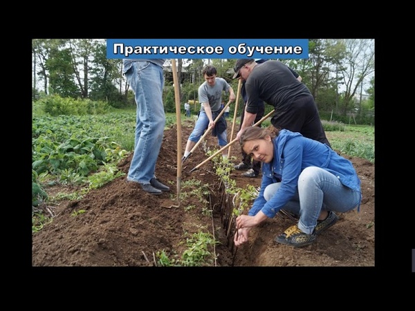 Факультет АСПиЛХ