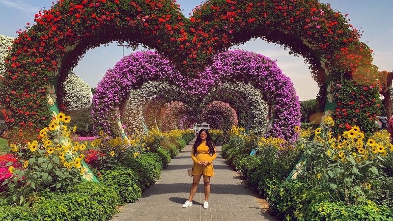 Miracle Garden Dubai 2019, Worlds Largest Natural Flower