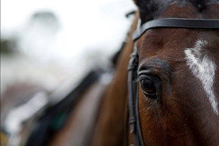 Douvan’s chasing debut