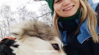 Бывшедомашний Джокер из приюта Некрасовка