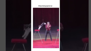 Adorable kittyo isn’t getting the memo but atleast it’s jamming