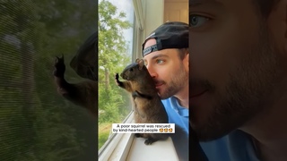 A poor squirrel was rescued by kind-hearted people #shorts