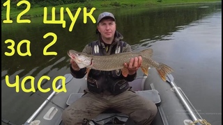 Рыбалка на Томи | 12 щук за 2 часа забили кукан