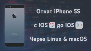 Откат iPhone 5S с iOS 12 до iOS 10 через Linux и macOS