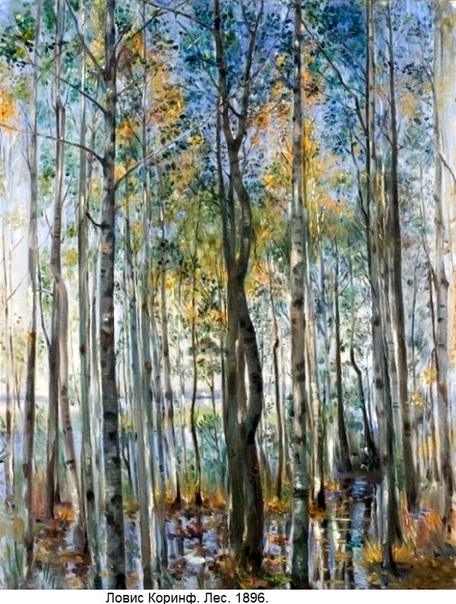 Ирина алексеева художник. Иллюстрации стефано туркони. Игорь меньшиков художник. Зепп хильц крестьянская трилогия. Игорь баранов художник картины.