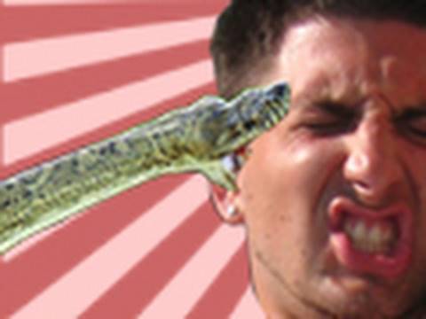 Guido Scared of