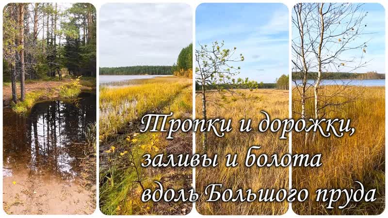 Тропки и дорожки, заливы и болота вдоль Большого