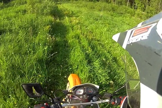 stels enduro 250