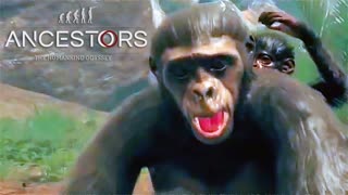 ДАЛЬНЯЯ ВЫЛАЗКА 2 ► Ancestors The Humankind Odyssey #12