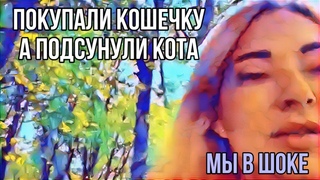 Покупали кошку, а подсунули кота.