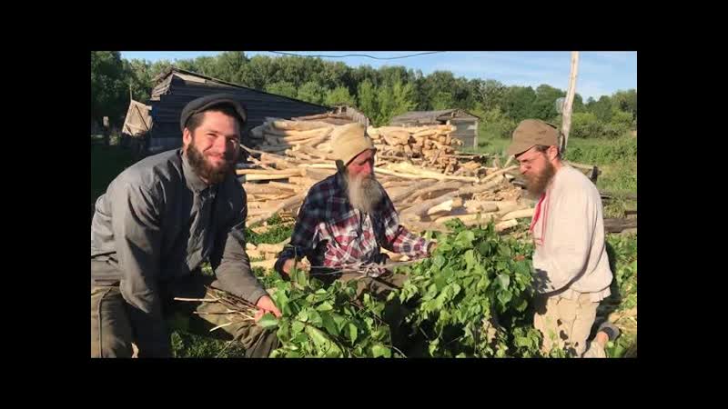 Как вязать банные веники. 29 июня,