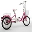 Mission Children Tricycle Product
