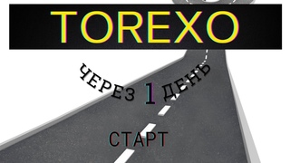 TOREXO - Проект уже на старте!!! Всегда есть Риск! Но стоит попробовать!