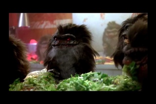 Зубастики (Critters) - Как с ними бороться