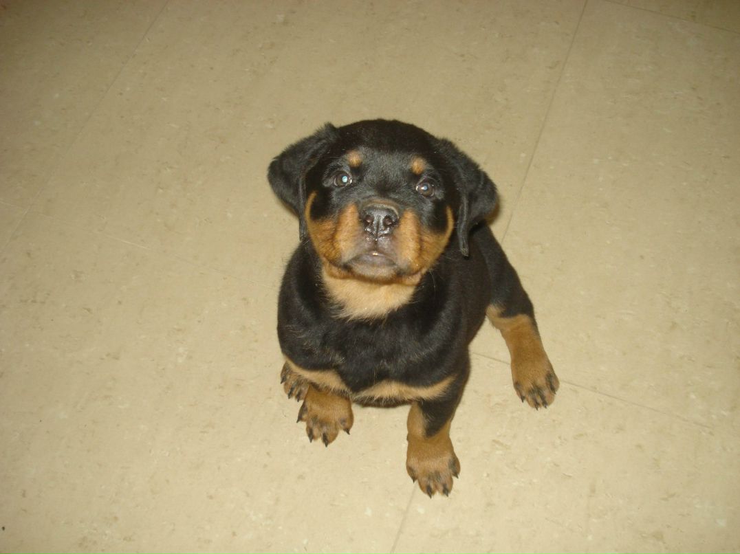 Сергей Михайлюк | Киев