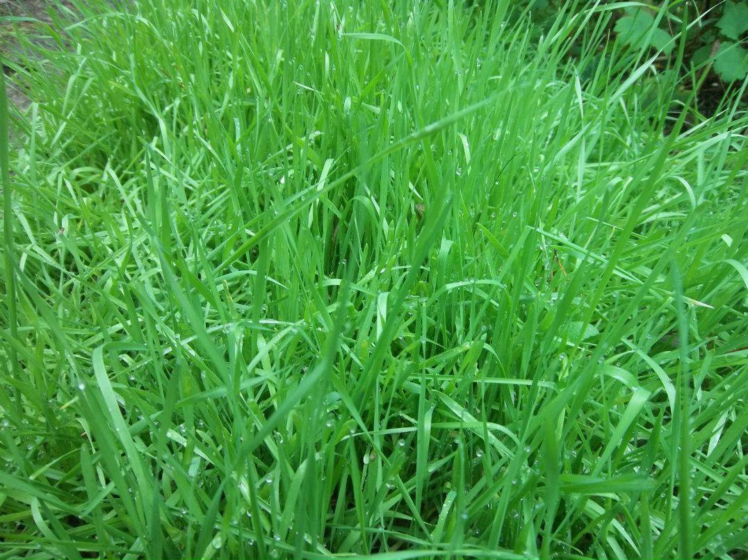 Слава Котляр | Белая Церковь