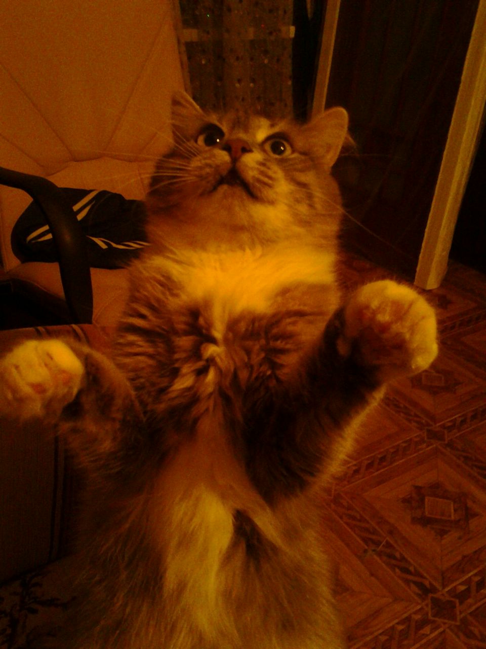 Ольга Землянухина | Москва