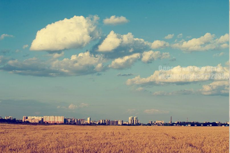 Juliett Sarkisian | Philadelphia