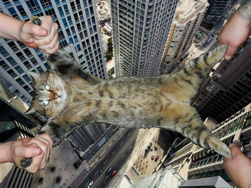 Грайндкор Некрозович | 