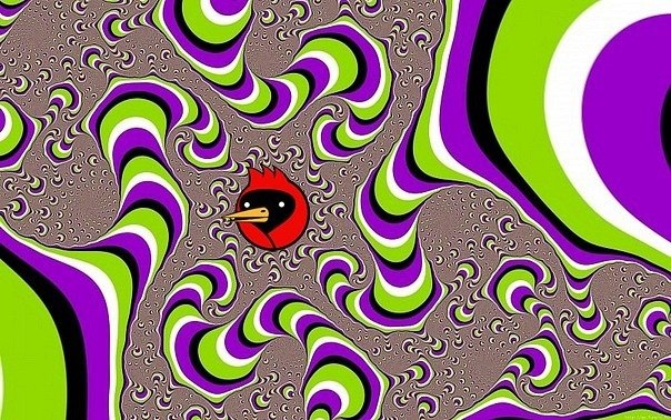 Давид Шакарян | 