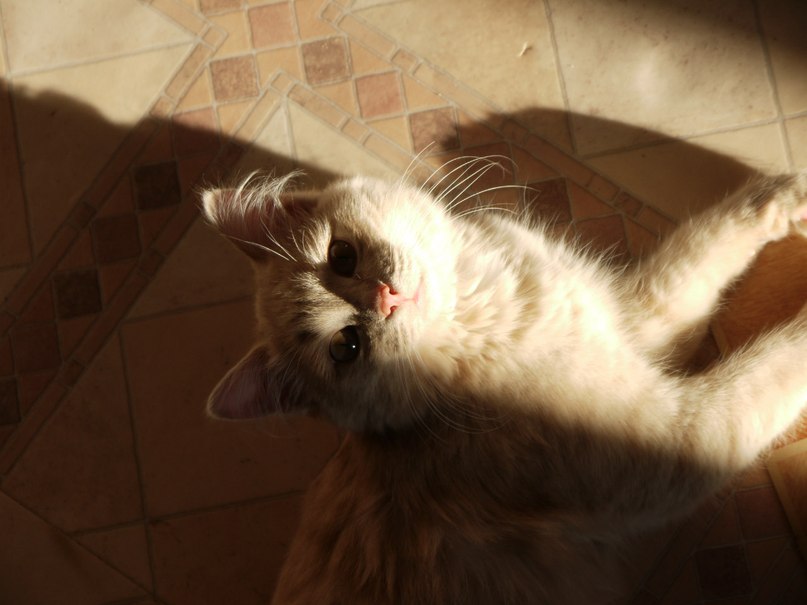 Евгений Евдокимов | Тюмень