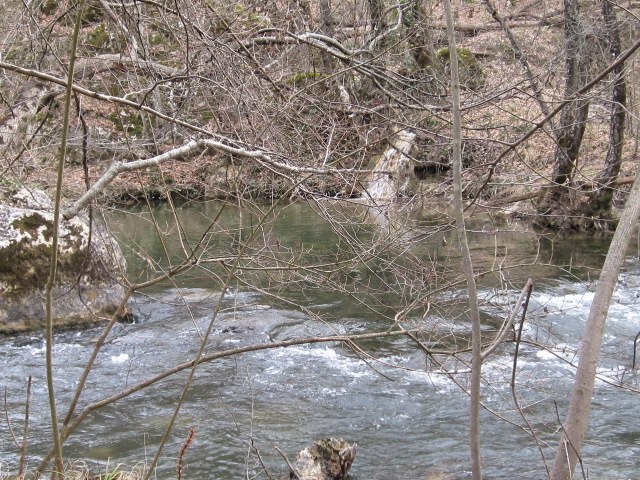 Татьяна Пономарева | Москва