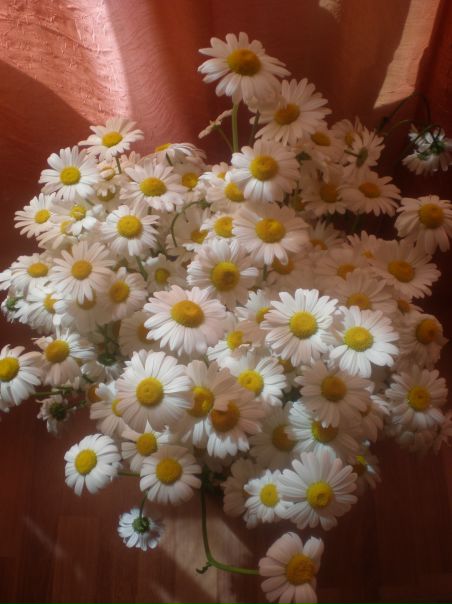 №78, Elena Tuvina, 41 год, Санкт-Петербург №78, Elena Tuvina, 41 год, Санкт-Петербург