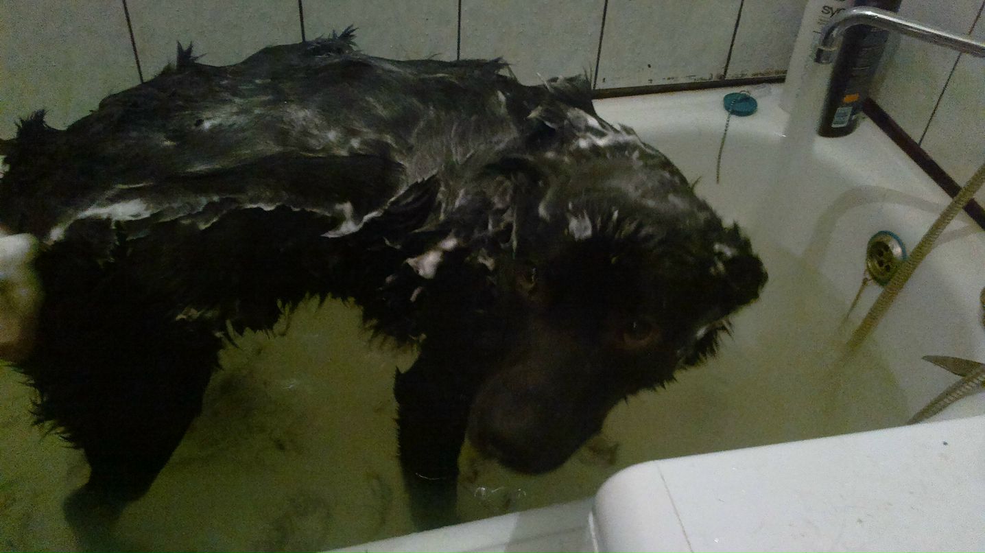 Антон Югов | Ярославль