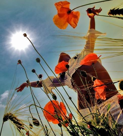 Elena Kylikova ♕ The Fox ♕ | Москва