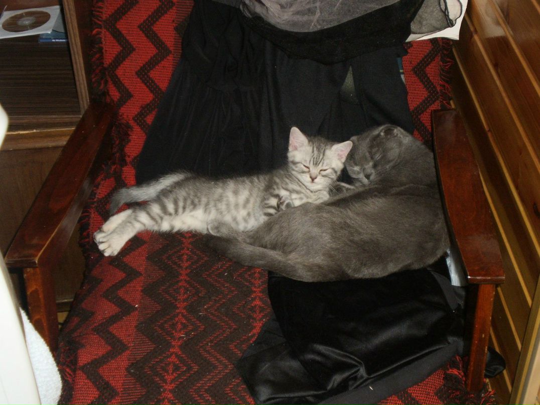 Лидия Барынина | Москва