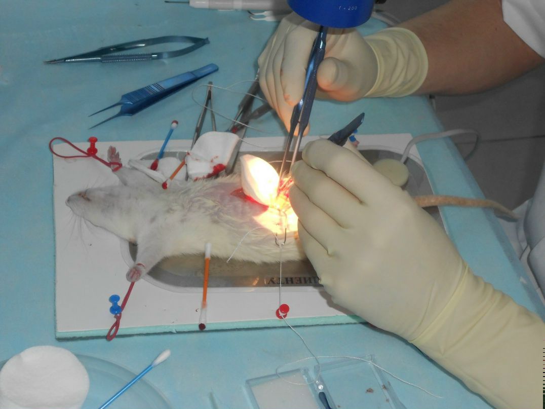 Денис Петухов | Барнаул