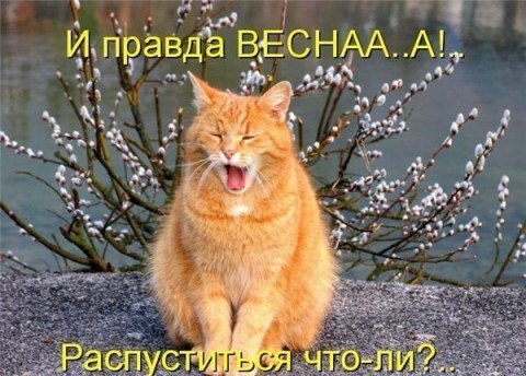 Konstantin K-o | Киев