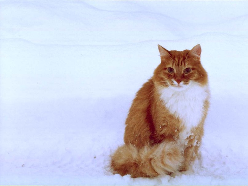 Аля Ильясова | Praha