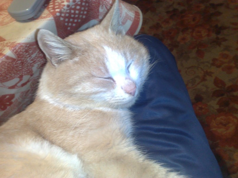 Алексей Яковлев | Москва