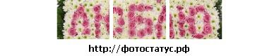 №4 Ирина Рябкова 20.06.1994: профиль, фото, статус - ВКонтакте