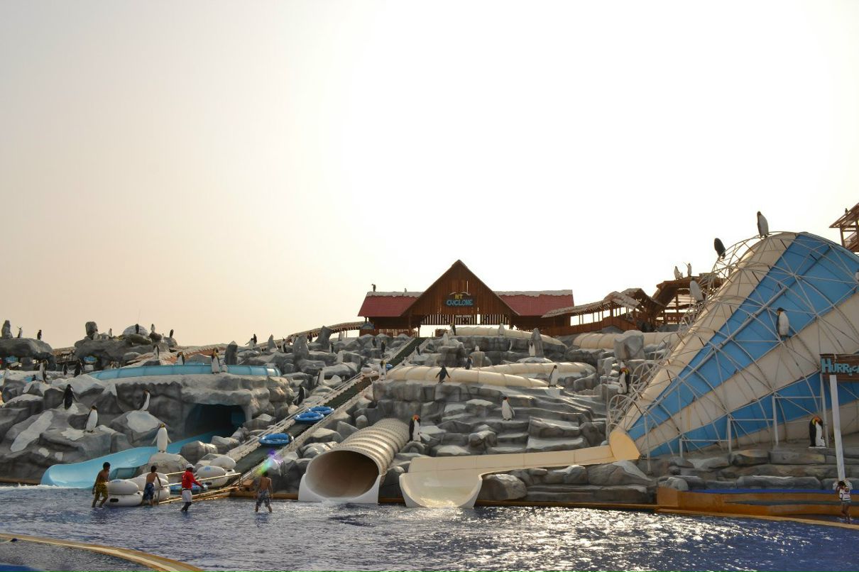 Мария Черепович | Минск