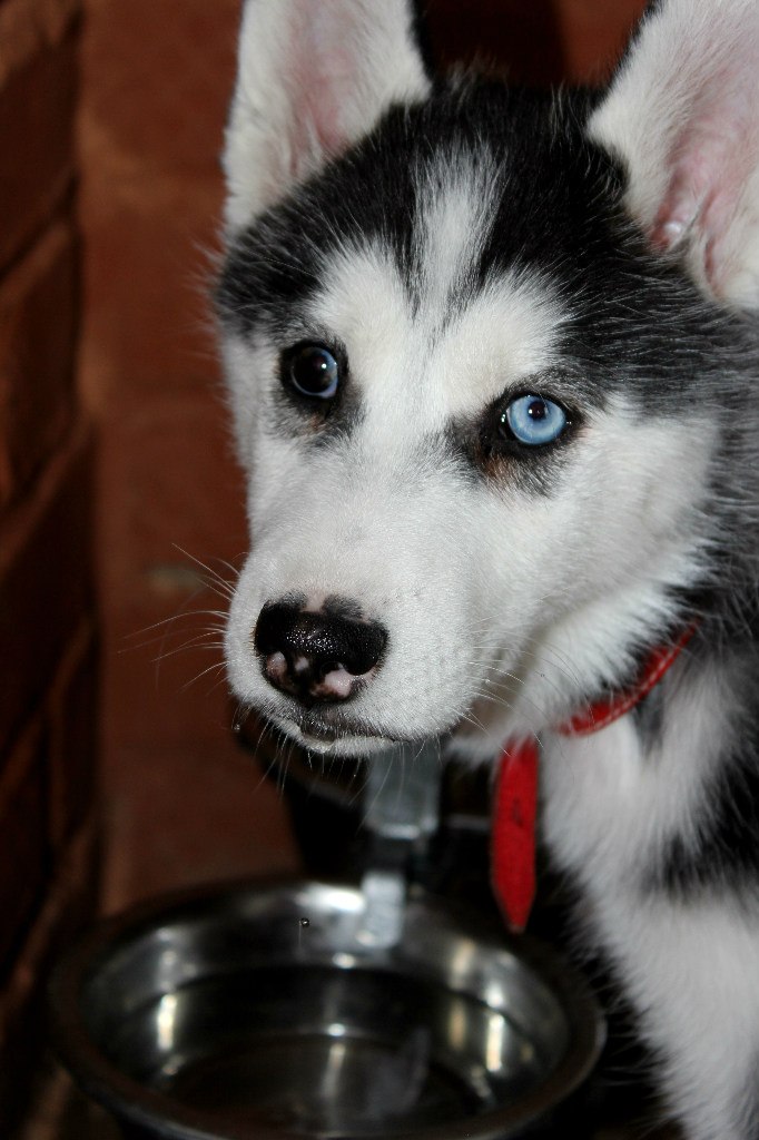 Анна Грачевна ☺SMILE☺ | Москва