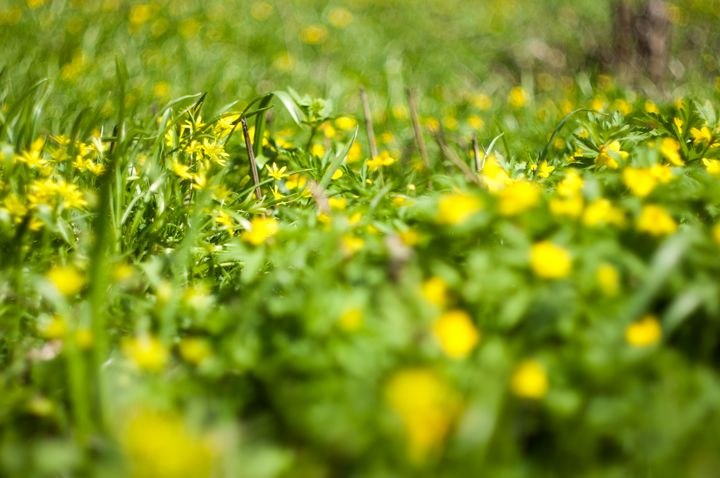 Мария Малыш | Коломыя