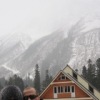 Аватар: Галина Воронцева