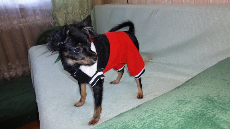 Аксана Шакурина | Краснодар