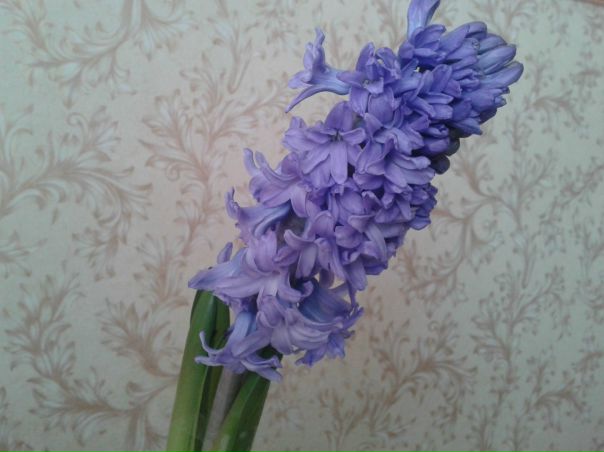 №19, Борис Руденко, Краматорск №19, Борис Руденко, Краматорск