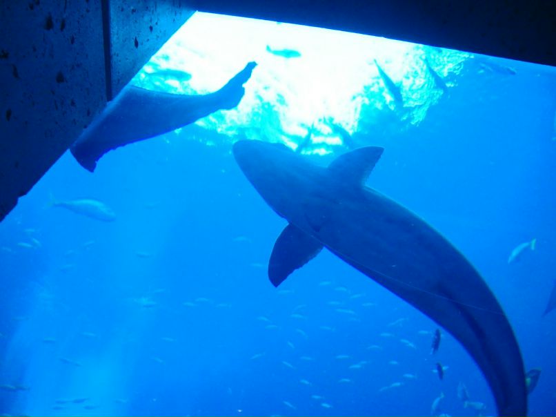 Серёга Агафонов | Харьков