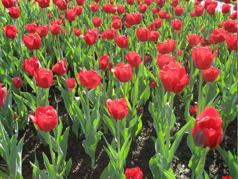 Юлия Кондратьева | Москва