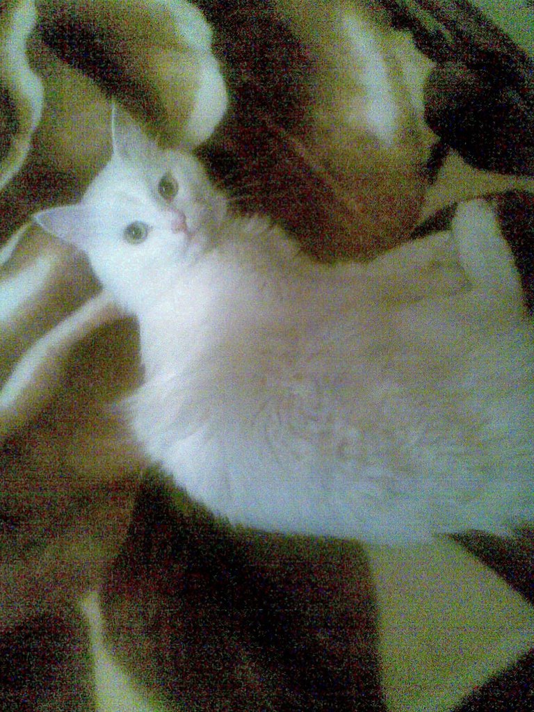 Илья Ульянов | Запорожье